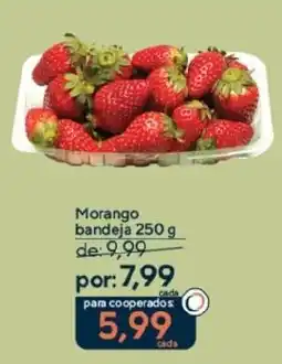 Coop Morango bandeja oferta