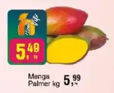 Negreiros Manga palmer oferta
