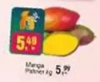 Negreiros Manga Palmer oferta
