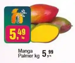 Negreiros Manga palmer oferta