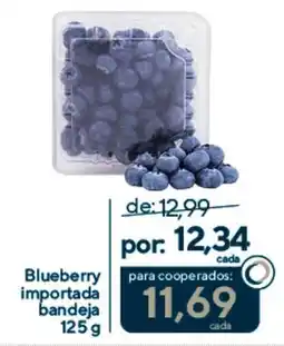 Coop Blueberry importada bandeja oferta