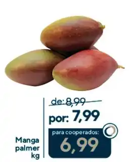 Coop Manga palmer oferta