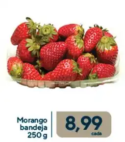 Coop Morango bandeja oferta