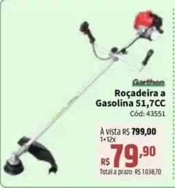 Deltasul Roçadeira a Gasolina 51,7CC oferta