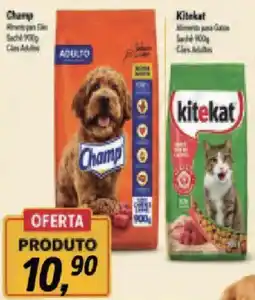 Redeconomia Champ Alimento para Cães Adulto oferta