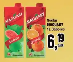 Redeconomia Néctar maguary 1l sabores oferta