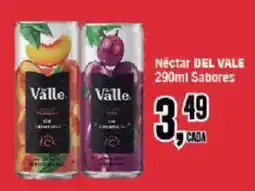 Redeconomia Néctar del vale sabores oferta