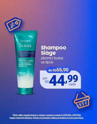 Shampoo siàge