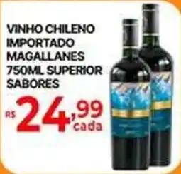 Supermercados Santa Helena vinho chileno importado magallanes oferta