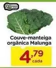 Carrefour Organico - couve-manteiga orgânica malunga oferta