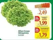 Atacadão Stars - alface crespa hidroponica oferta