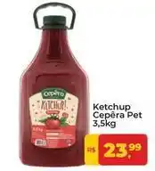 Tonin Superatacado Cepêra - ketchup pet oferta