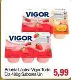 Spani Atacadista Dia - bebida láctea vigor todo oferta