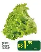 Muffato Alface crespa oferta