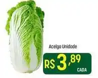 Acelga