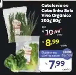 Barbosa Supermercados Cebolinha Solo Vivo Orgânico oferta