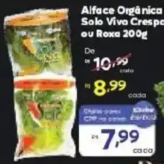 Barbosa Supermercados Alface Orgânica Solo Vivo Crespa ou Roxa oferta