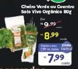 Barbosa Supermercados Cheiro Verde ou Coentro Solo Vivo Orgânico oferta