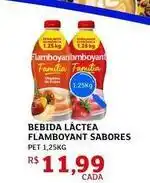 Assaí Atacadista Flamboyant - bebida láctea sabores oferta