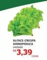 Assaí Atacadista Alface-crespa hidroponica oferta