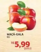 Maca gala