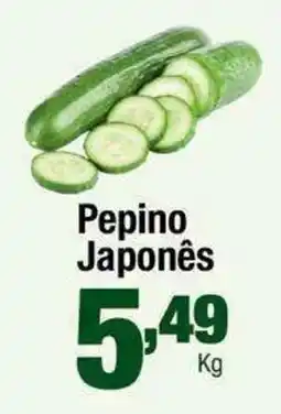 Santo Supermercados Pepino Japonês oferta