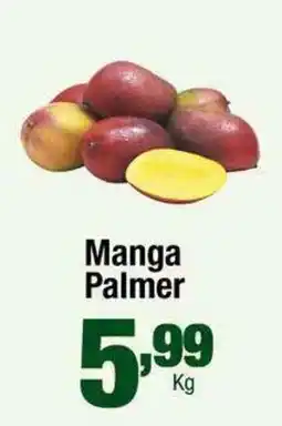 Santo Supermercados Manga palmer oferta