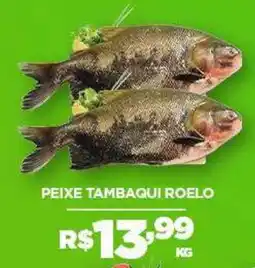 DB Supermercados Peixe tambaqui roeiro oferta