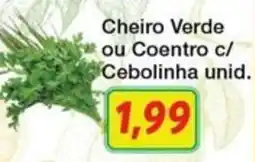 Chama Supermercados Cheiro Verde ou Coentro c/ Cebolinha unid. oferta