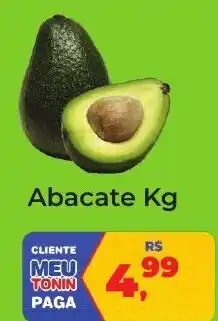 Tonin Superatacado Abacate Kg oferta