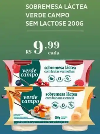 Sobremesa láctea verde campo sem lactose