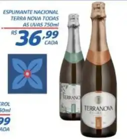 RECIBOM Espumante nacional terra nova todas as uvas oferta