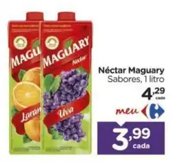 Carrefour Néctar maguary sabores oferta
