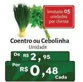 Novo Atacarejo Coentro ou cebolinha oferta