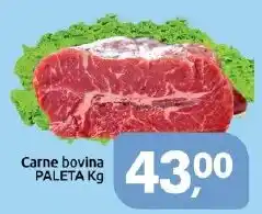 Supermercados Nori Carne bovina paleta kg oferta