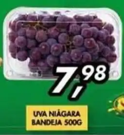 Barbosão Extra Supermercados Uva niagara oferta