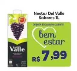 Covabra Supermercados Nectar Del Valle Sabores 1L oferta