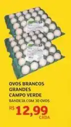Campo verde - ovos brancos grandes