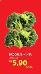 Brócolis-ninja