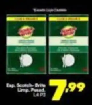 Esp. Scotch-Brite Limp. Pazed.