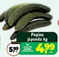 Safra Supermercados Popino japonês oferta