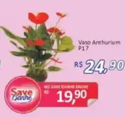 Supermercados Savegnago Vaso Anthurium P17 oferta