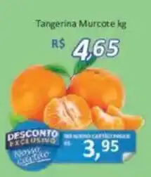 Supermercados Savegnago Tangerina Murcote kg oferta