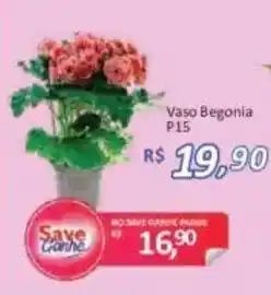 Supermercados Savegnago Vaso Begonia oferta