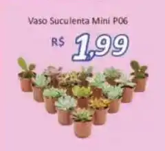 Supermercados Savegnago Vaso Suculenta Mini P06 oferta