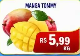 Compre Bem manga tommy oferta