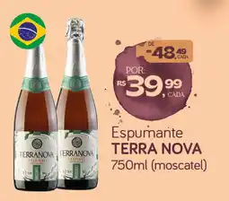 Cometa Supermercados Espumante terra nova oferta