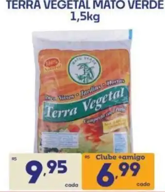 Terra vegetal mato verde
