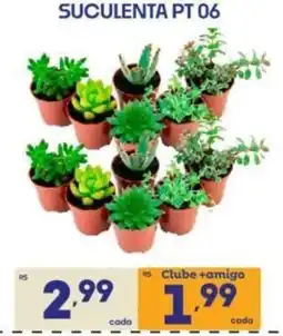 Supermercados Avenida Suculenta pt 06 oferta