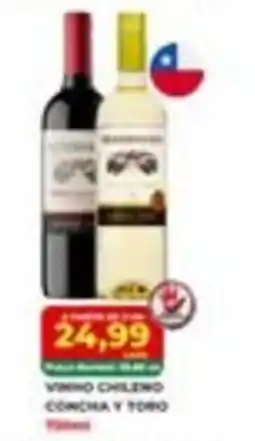 Rede Grande Sul Vinho chileno concha y toro oferta